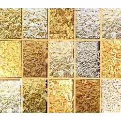 Manufacturers Exporters and Wholesale Suppliers of Indian Rice KOLKATA West Bengal